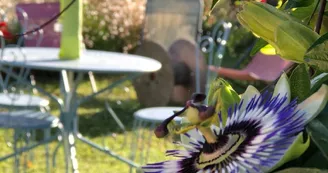 Le Petit Gîte en Braconne - Banicic Laurent