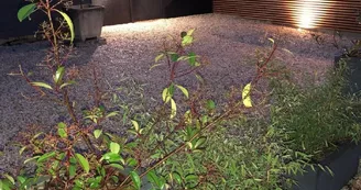 Le Petit Gîte en Braconne - Banicic Laurent