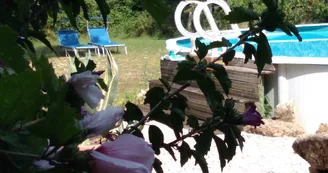 La Petite Maison Romarin - Les Lignons