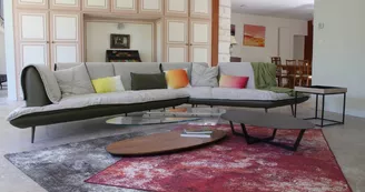 La Grande Salamandre