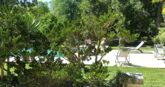 La Grande Salamandre