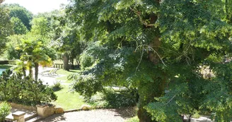 La Grande Salamandre