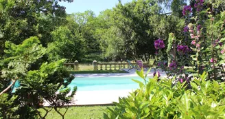 La Petite Salamandre