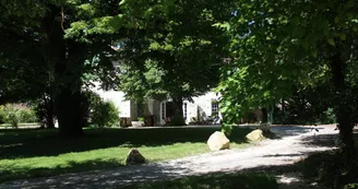 La Petite Salamandre