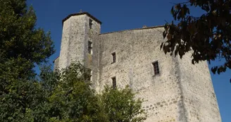 Vieux Château